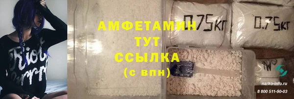 дмт Богородск