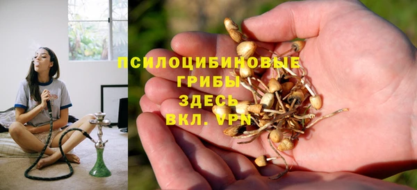 твердый Богородицк